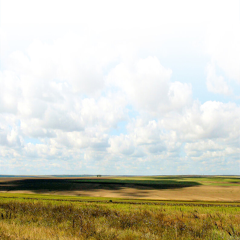 Landschaft in der Nähe von Tulcea, rumänische Dobrudscha (©Wikipedia) Landschaft in der Nähe von Tulcea, rumänische Dobrudscha (©Wikipedia)